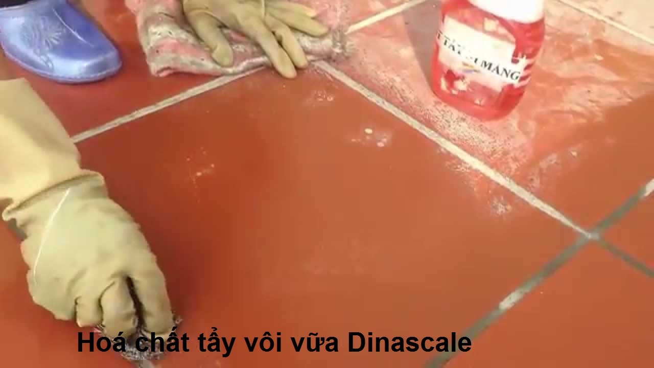 Chất tẩy vôi vữa Dinascale